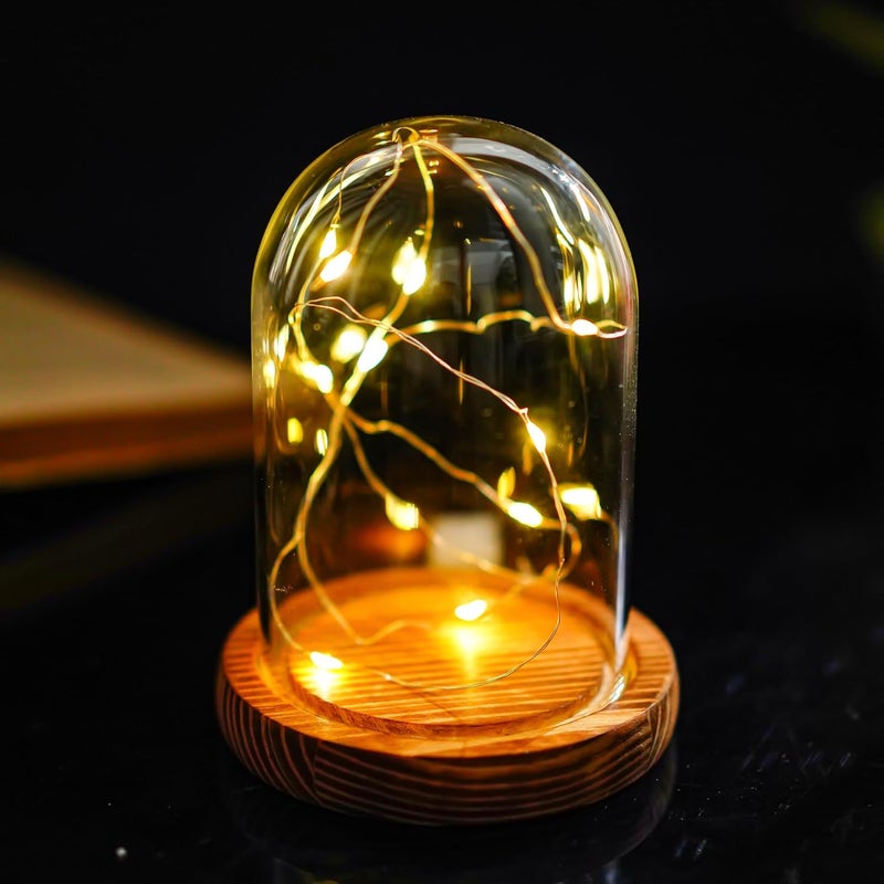 ZEERSHEE 4.1" × 3.2" قبة زجاجية صغيرة مع قاعدة خشبية صلبة فارغة للنباتات والتذكارات والمقتنيات - Image 5